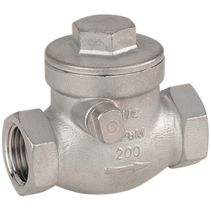 316 stainless Steel Swing Check Valve